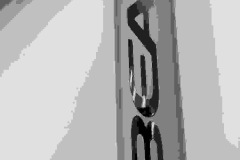 323420964_570161295003560_9088102078847102388_n
