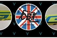 New-Phototastic-Collage-whyte-downtube