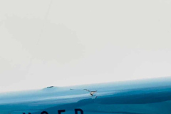 IMG_3438